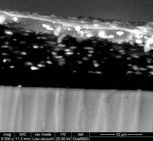 Cross section of a plate. From bottom to top: Glass, gelatin containing silver grains, and —paler—the silver mirroring. ESM photograph