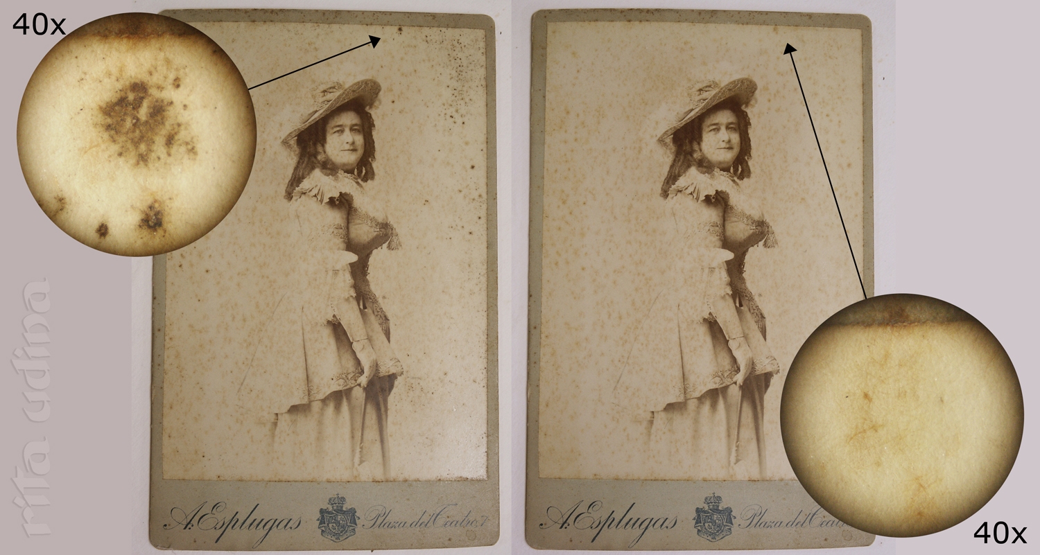 Conservation of cdv, albumen photographs on board with foxing stains