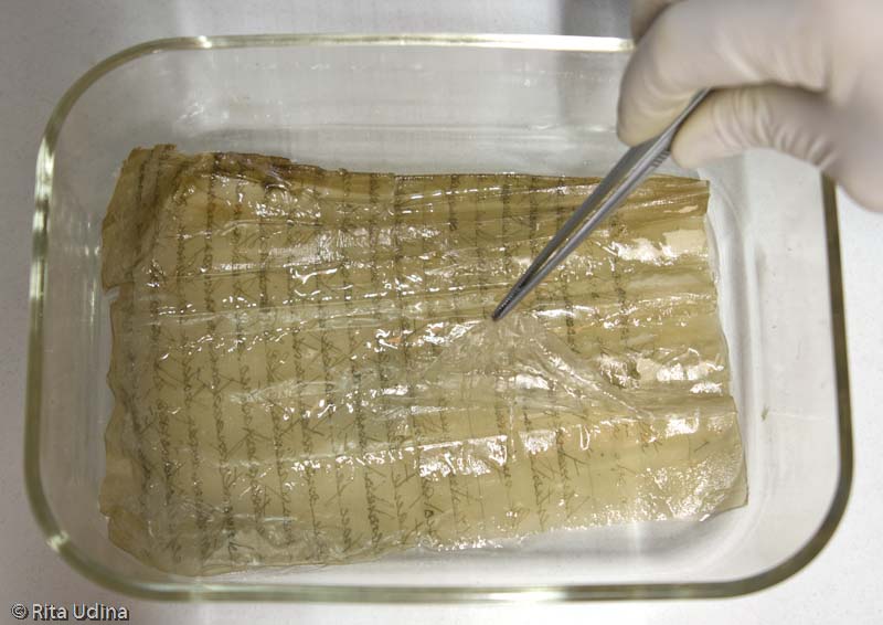 Removing the plastic film from the manuscript