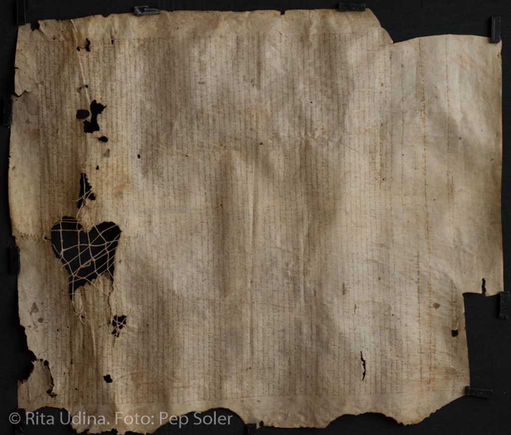Parchment with woven repair, before treatment